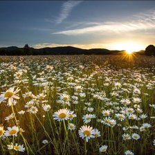 Схема вышивки «№2939849»