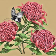 Схема вышивки «№2939890»