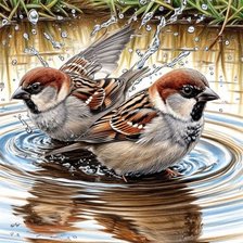 Схема вышивки «Воробьи»