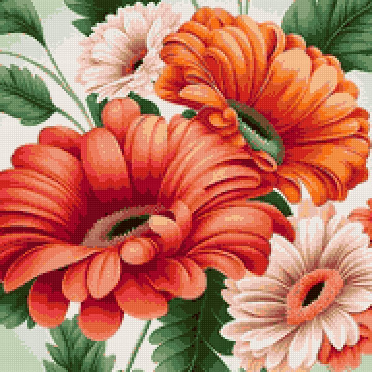 Герберы - цветы - предпросмотр