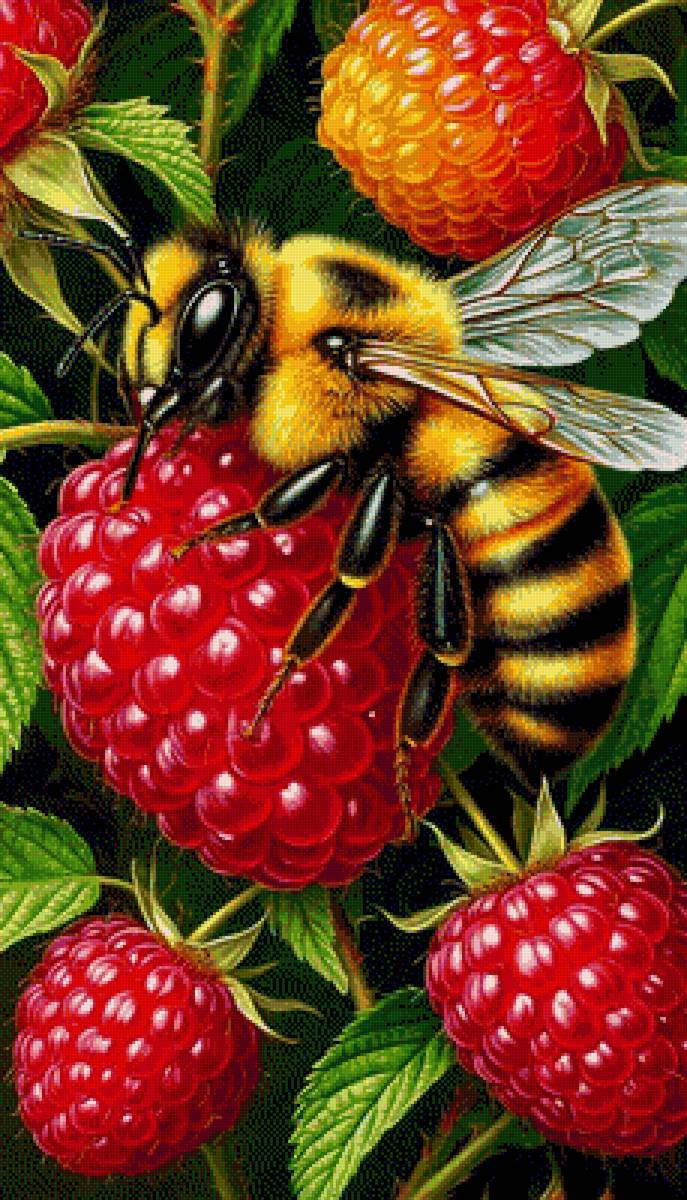 ПЧЕЛА - насекомые - предпросмотр