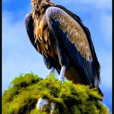 Схема вышивки «Птицы»