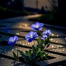 Схема вышивки «Ночное пробуждение»