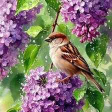 Схема вышивки «Весна»