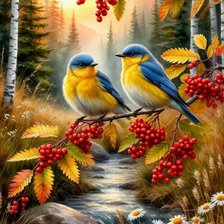 Схема вышивки «птицы»