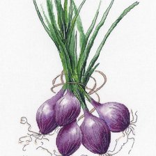 Схема вышивки «Красный лук»