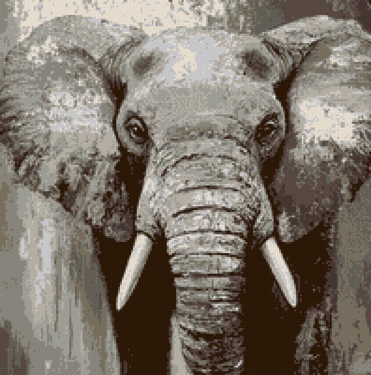 №2941015 - предпросмотр