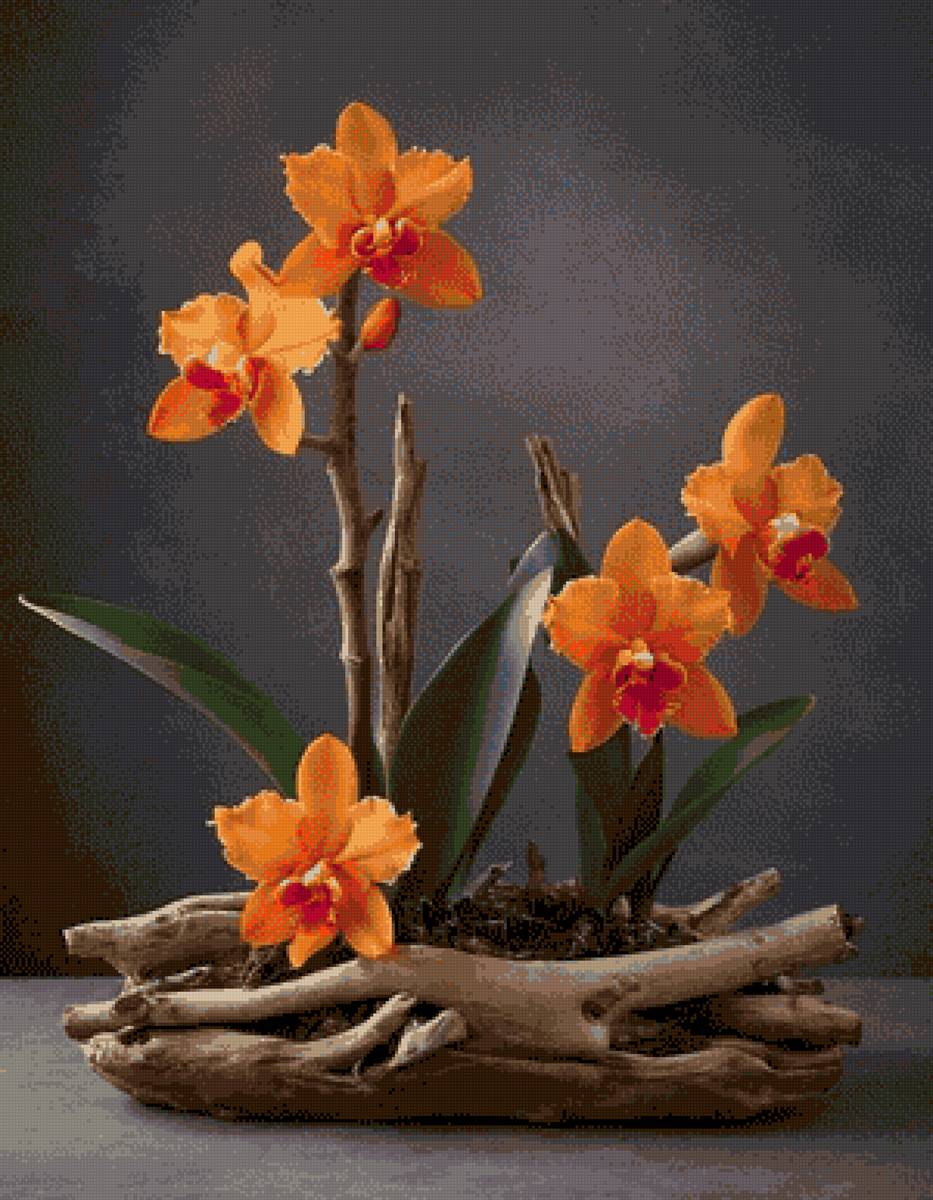 №2941034 - предпросмотр