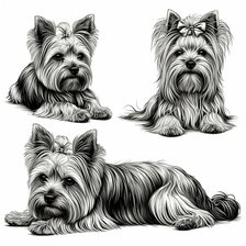 Схема вышивки «№2941270»