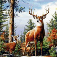 Схема вышивки «олени19»