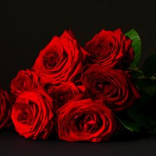 Схема вышивки «розы на черном»