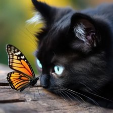 Схема вышивки «котенок и бабочка»