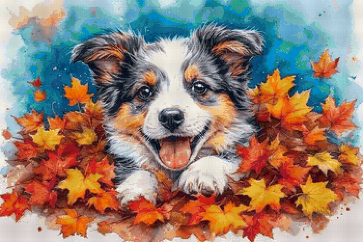 собака - собака - предпросмотр