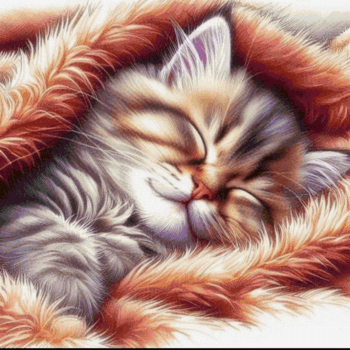 котенок - кот - предпросмотр