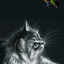 Схема вышивки «котик»