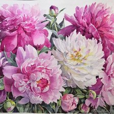 Схема вышивки «Пионы»