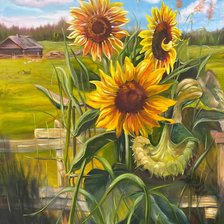 Схема вышивки «Подсолнухи»