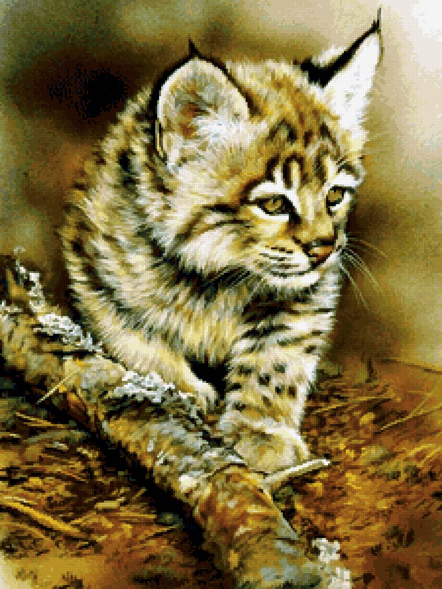 рысёнок - предпросмотр