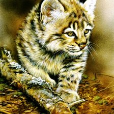 Схема вышивки «рысёнок»