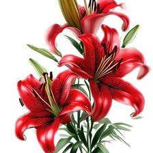 Схема вышивки «Красные лилии»