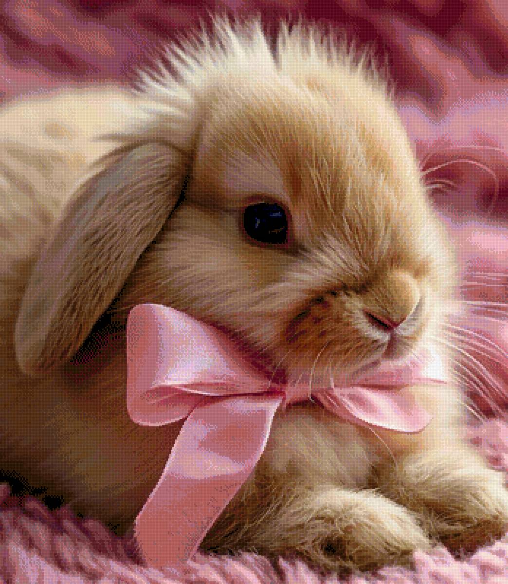 kaninchen 1 - предпросмотр