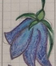 Схема вышивки «колокольчик»