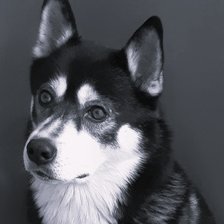 Схема вышивки «Ирчи2»