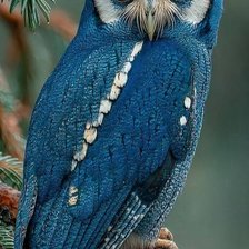 Схема вышивки «№2945343»