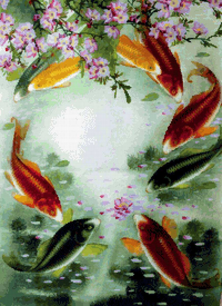 Цветущая сакура и карпы Киа - ветка сакуры, рыбки, пруд - предпросмотр