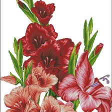 Схема вышивки «Гладиолусы»