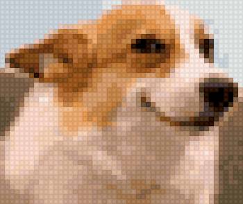 Подозревающий корги - корги мем подозревающий - предпросмотр