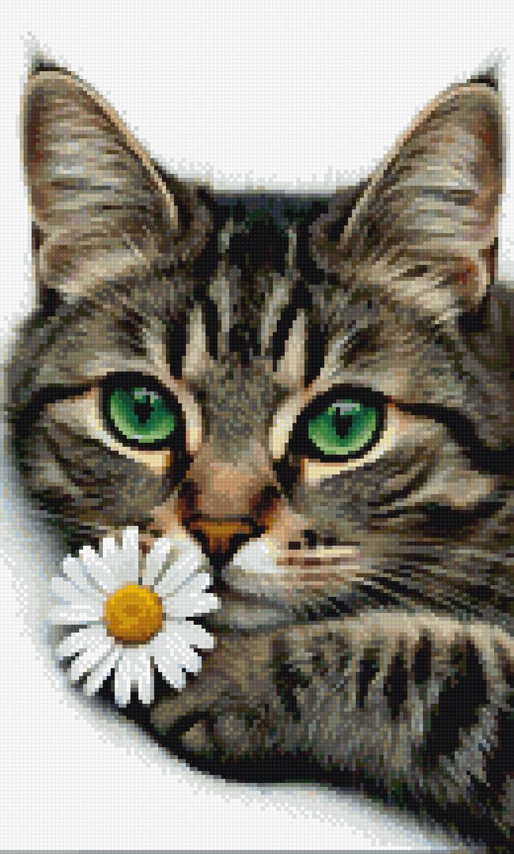 Кот - животные, котик - предпросмотр