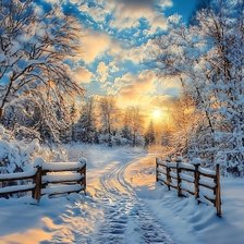 Схема вышивки «№2946897»