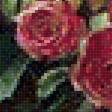 Предпросмотр схемы вышивки «Тимошин_Розы» (№2947016)