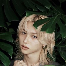 Схема вышивки «Felix»