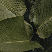 Схема вышивки «№2947776»