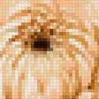 Предпросмотр схемы вышивки «Хризантемы» (№2947968)