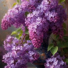 Схема вышивки «იასამანი»