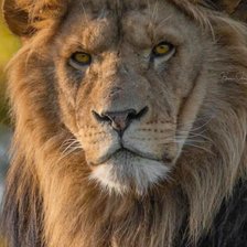 Схема вышивки «№2948027»