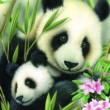 Схема вышивки «Милые пандочки»