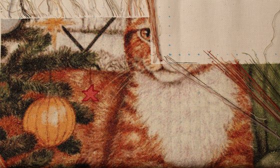 Этап процесса «Кот новогодний»