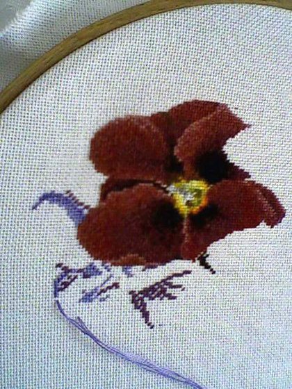 Этап процесса «435 Теа Гувернер «Анютки»»