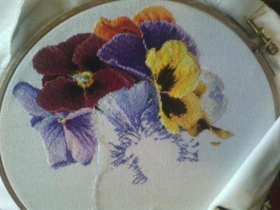 Этап процесса «435 Теа Гувернер «Анютки»»