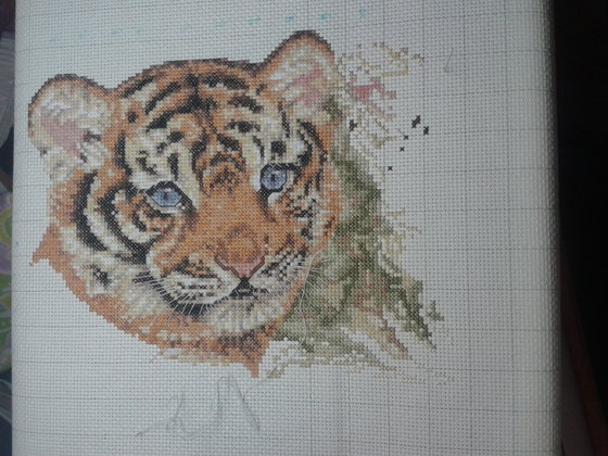 Этап процесса «Саванна. Кошачье семейство.»