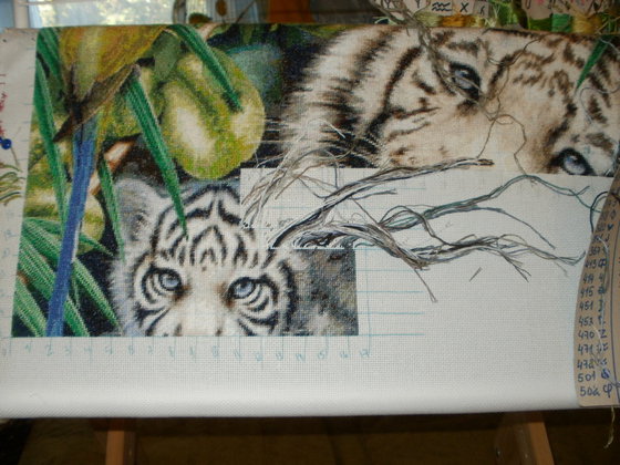 Этап процесса «Белые тигры»