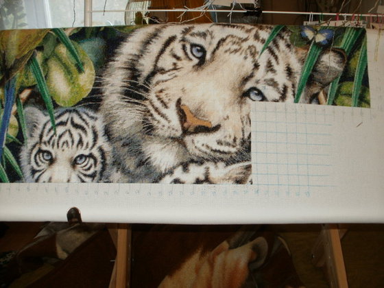 Этап процесса «Белые тигры»