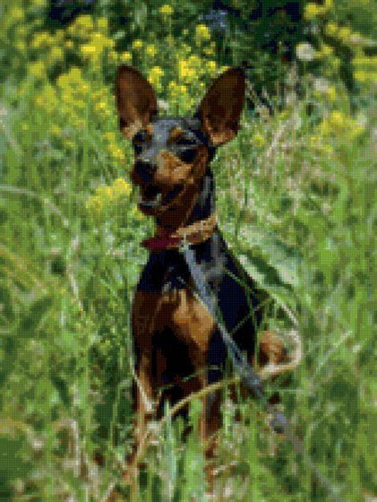 Этап процесса «Баська»