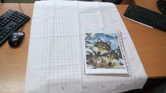 Этап процесса «Семья Волков»