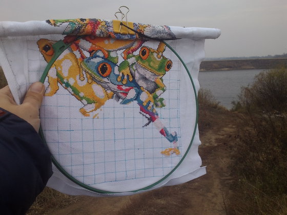 Этап процесса «Гора разноцветных лягушек»