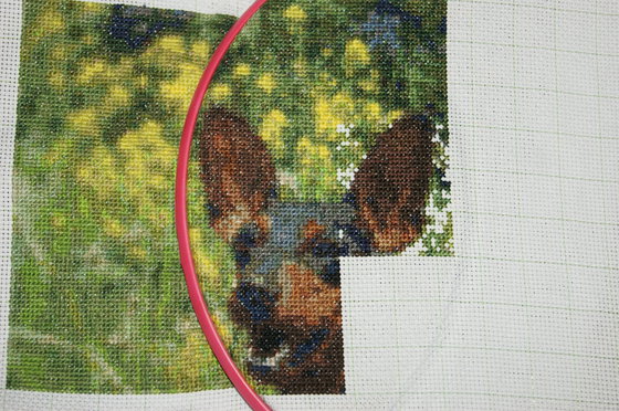 Этап процесса «Баська»